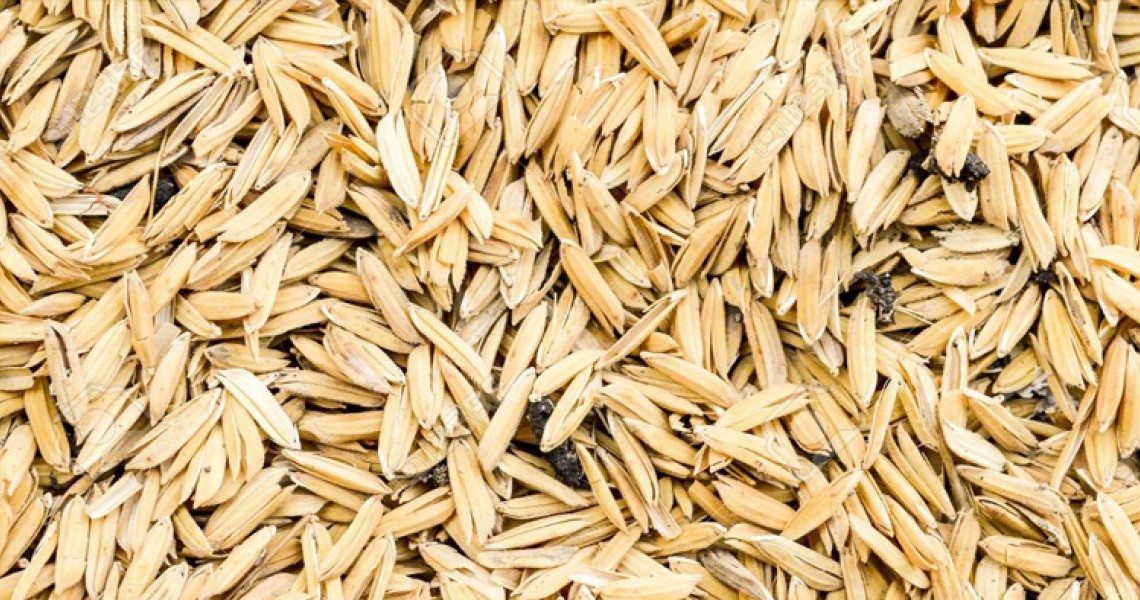 Rice Husk and Rice Ash - Agricultural Waste ByProducts