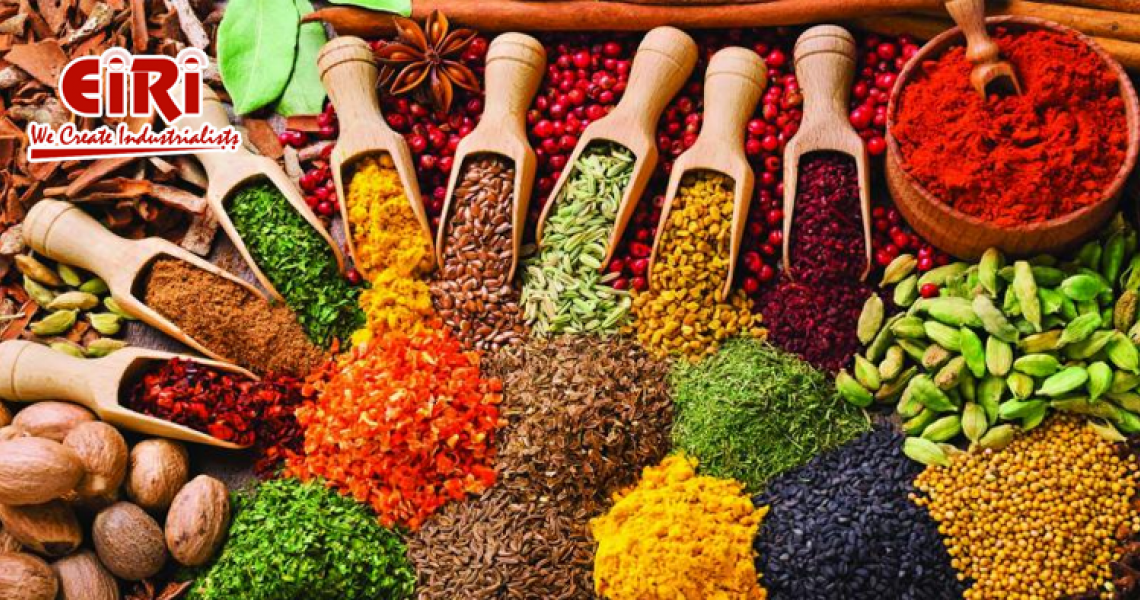 A Comprehensive Guide to Starting a Spice Processing Business