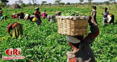 Agricultural business in the Philippines