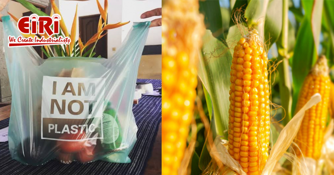 Bio-Degradable Bag Using Corn Starch - Eco-friendly Bags Manufacturing Business