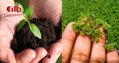 Biofertilizer from Mother Culture Business