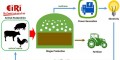 Biogas Production from Dairy Waste: A Sustainable Business Opportunity