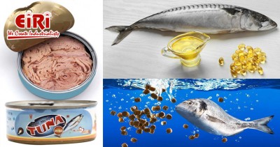 Canned Tuna, Fish Oil, and Fish Feed Production Business - Unlocking the Potential