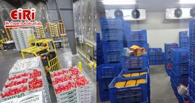 Cold Storage Business: Market Overview and Future Growth Forecast