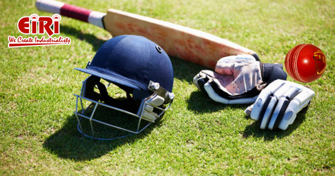 Exploring the World of Cricket: Profitable Business Ideas - Project Report for Bank Loan