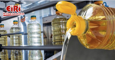 Edible Oil Extraction Business