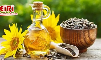 Edible Oils Processing Business in India: An In-Depth Overview