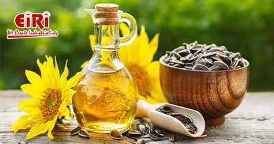 Edible Oils Processing Business in India: An In-Depth Overview
