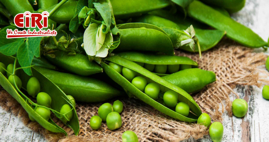 Frozen Green Peas Business - Small-Scale Business Idea