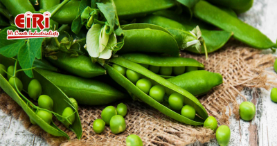 Frozen Green Peas Business - Small-Scale Business Idea