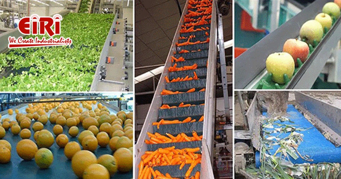 Fruit and Vegetable Processing Business