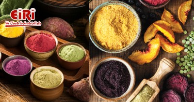 Fruits & Vegetables Powder Manufacturing - Exploring the Lucrative Business