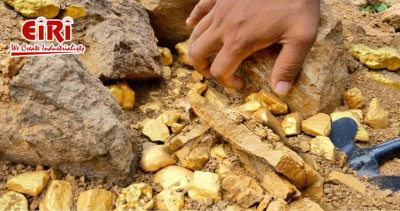 Gold Mining Business - A Comprehensive Guide and the Golden Opportunity