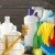 Household Cleaning Products Business