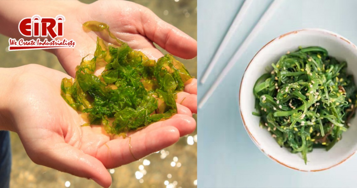 Seaweed Farming: A Sustainable Business Opportunity for Coastal Communities