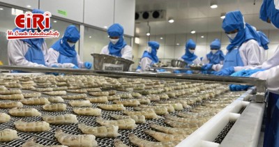 How to Start a Profitable Seafood Processing and Export Business