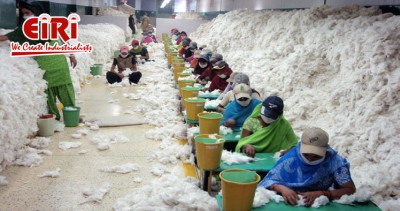 How to Start Cotton Ginning and Spinning Mill Business