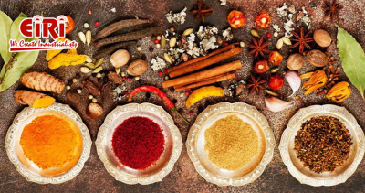 How to Start Masala (Spices) Business - Complete Guide