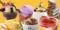 Ice Cream and Frozen Desserts Manufacturing Business