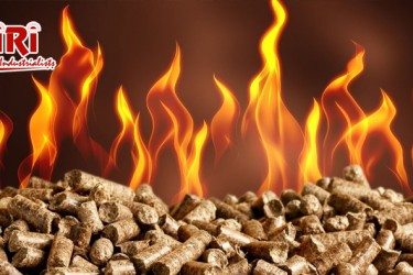 Is Biomass Pellets from Bio Waste Manufacturing Profitable?