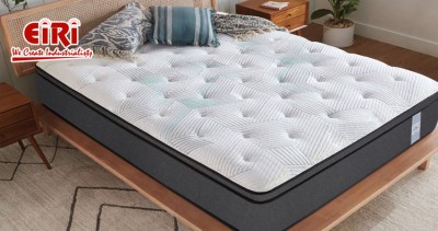 Latex Mattress - Complete Guide to Easily Setting Up Your Own Business