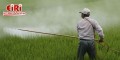 Manufacturing of Agricultural Formulation Pesticides