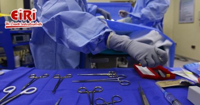 Medical & Disposable Surgical Manufacturing Industry: Key Insights and Opportunities