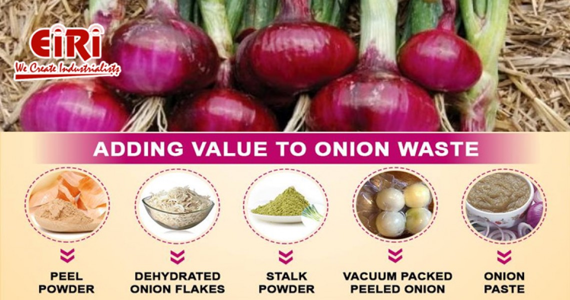 Onion Processing Business - Onion Based Business Ideas
