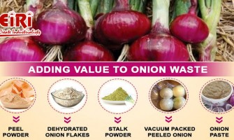 Onion Processing Business - Onion Based Business Ideas