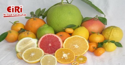 Opportunities in Citrus Based Business and Citrus Fruit Processing Business Ideas