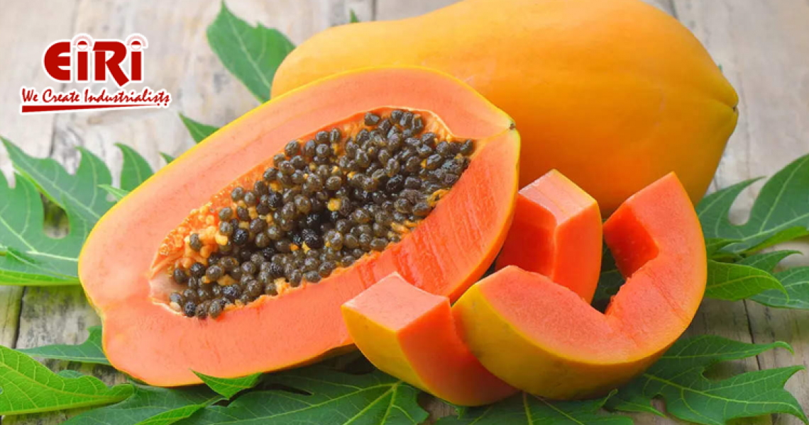 Papaya Based Business Ideas - Farming and Papaya Processing - Project Report for Bank Loan