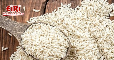 Parboiled Rice Mill Production Business: A Detailed Guide