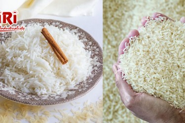 Parboiled Rice Processing Plant: A Comprehensive Guide