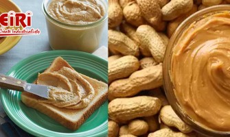 Peanut Butter Manufacturing Business - How to Start?