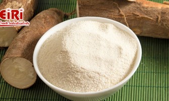 Production of Amino Acids from Cassava: A Comprehensive Guide