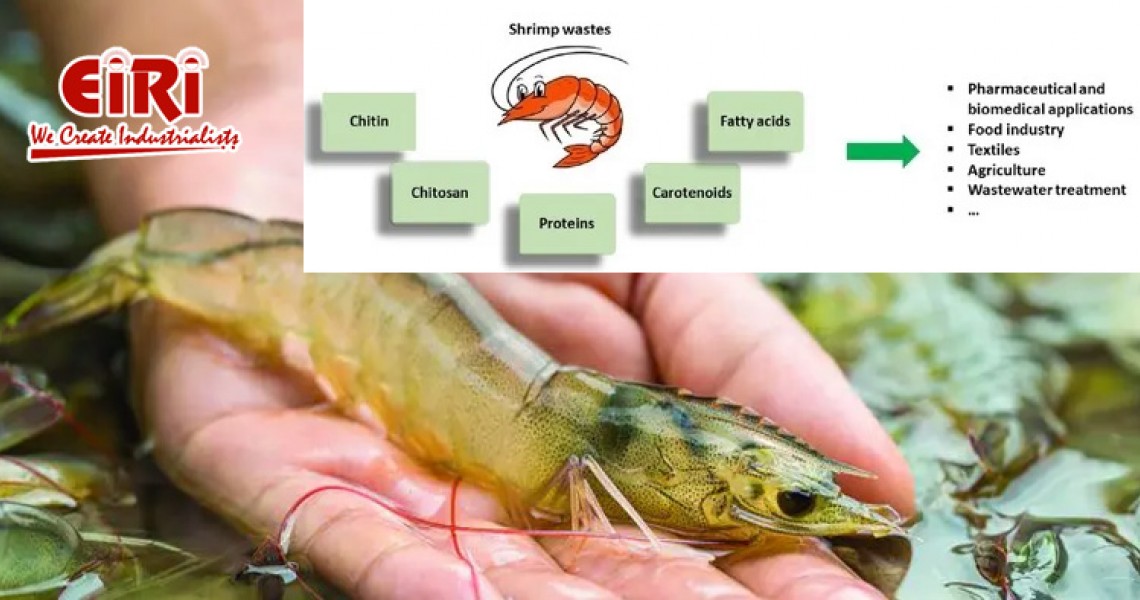 Protein Hydrolysate from Shrimp/Fish Waste - Fish Waste Valorization