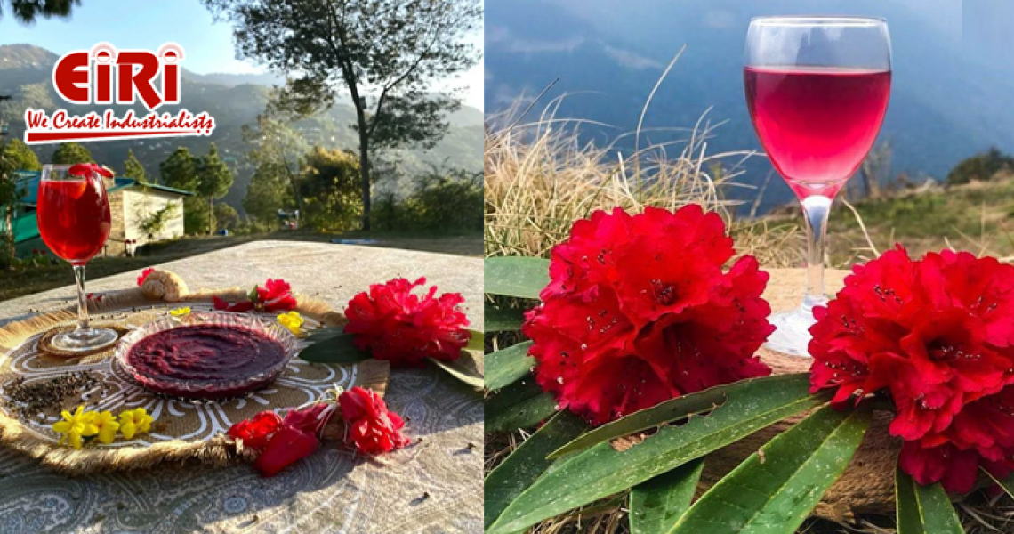 Rhododendron Flower Wine: A Hidden Gem in the World of Beverages