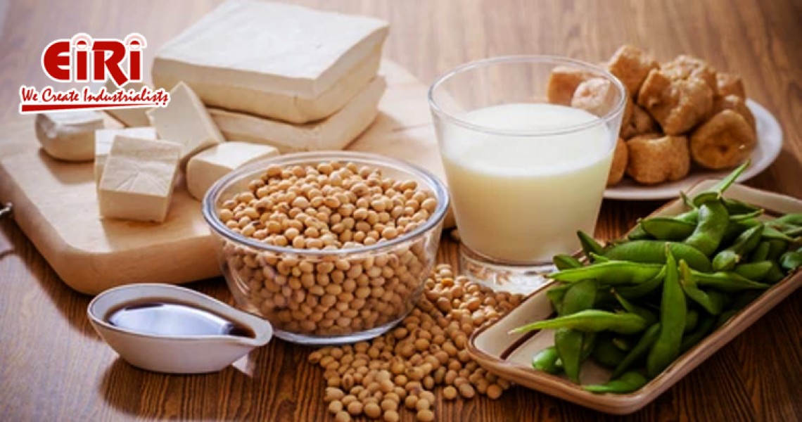 Exploring Soy-Based Business Ideas, from food and beverages to cosmetics and biofuels