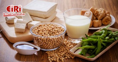 Exploring Soy-Based Business Ideas, from food and beverages to cosmetics and biofuels