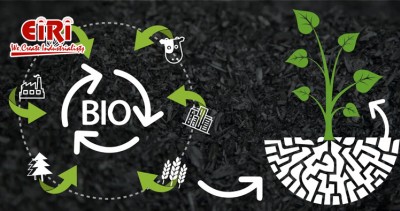 Starting a Biochar Manufacturing Business - Complete Process and Plan