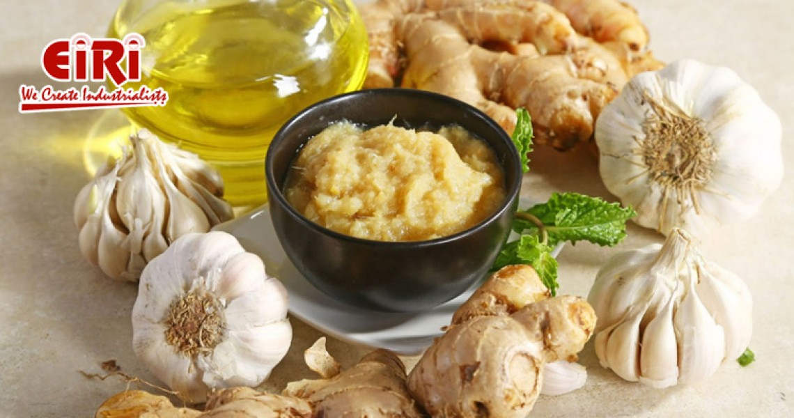 Starting a Ginger and Garlic Paste Business: Get Project Report for Bank Loan