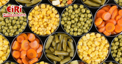 Is a Semi Processed Canned Vegetables Business Right for You?