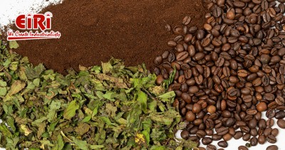 Starting a Tea or Coffee Processing and Packaging Business