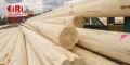 Starting a Wooden Pole Manufacturing Business