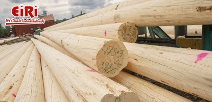 Starting a Wooden Pole Manufacturing Business