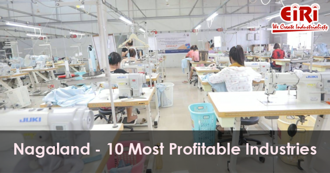 10 Manufacturing Business Ideas for Nagaland