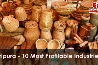 10 Manufacturing Business Ideas for Tripura