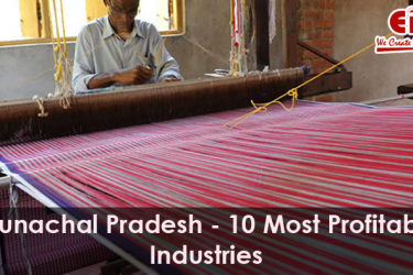 10 Most Profitable Projects for Arunachal Pradesh