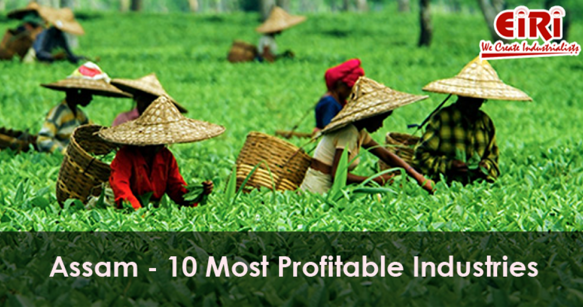 10 Most Profitable Industries For Assam, India