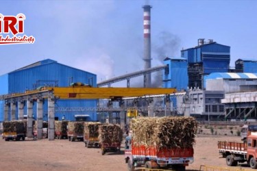 Sugar Plant Techno-Economic Viability and Feasibility